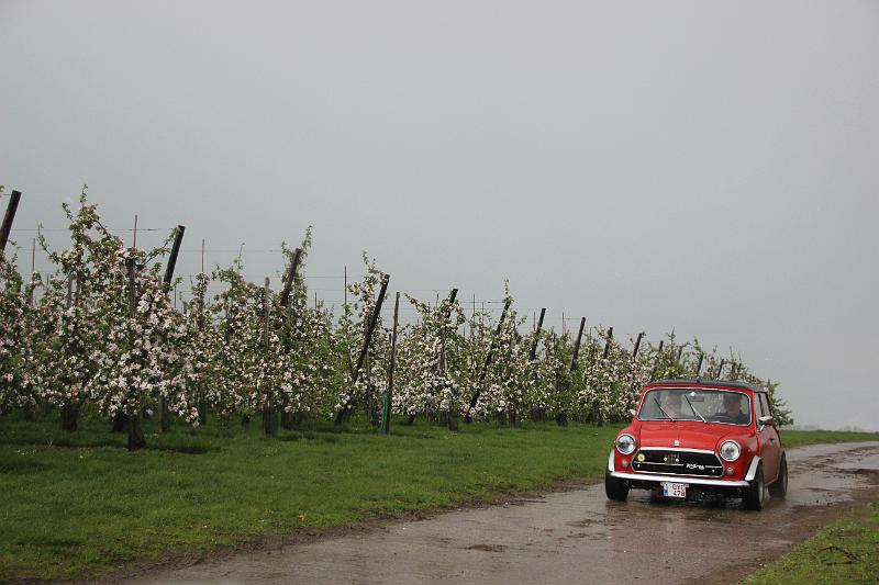 MG Bloesemrit op 24-4-2016 org. Jos&Marie-lou  (218).JPG
